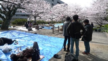 桜の撮影.JPG