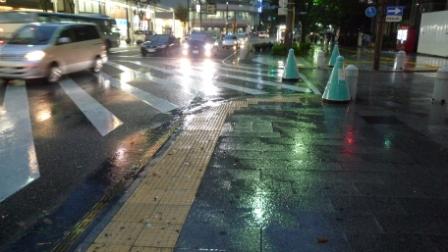 雨の夜.JPG